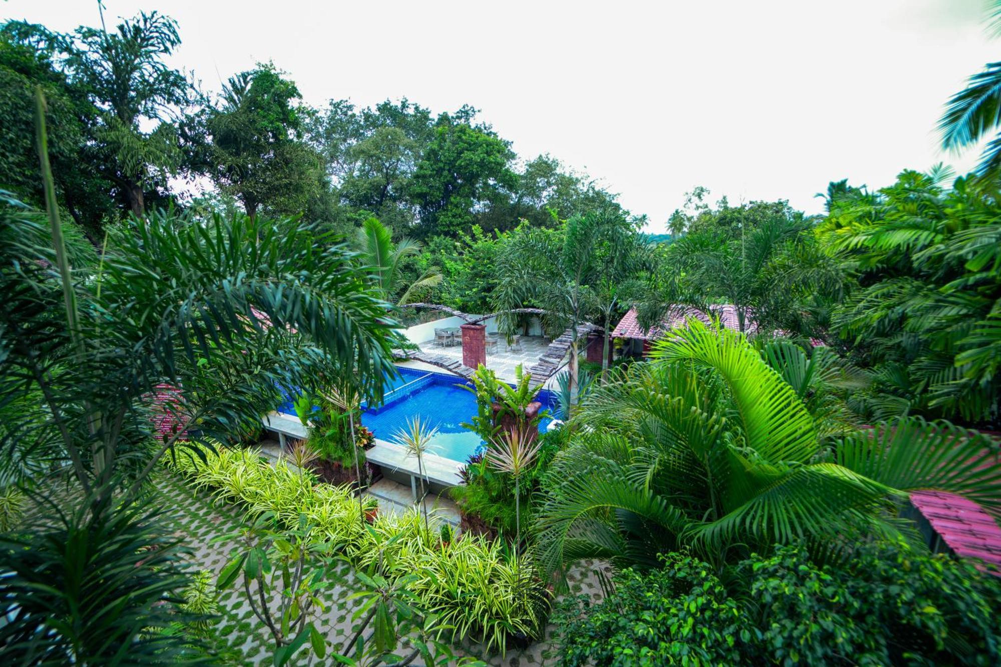 Hola Amigos Stays Anjuna Bagian luar foto